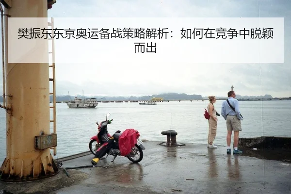 樊振东东京奥运备战策略解析：如何在竞争中脱颖而出